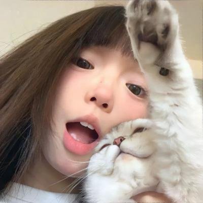 非洲大猫
