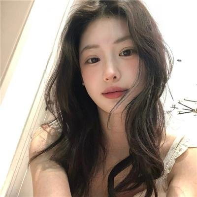 春燕展翅